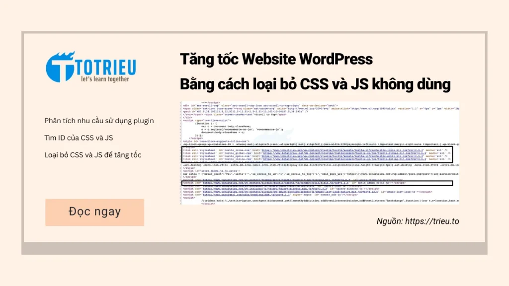 Kỹ thuật tăng tốc Website WordPress bằng cách loại bỏ JS, CSS không cần thiết